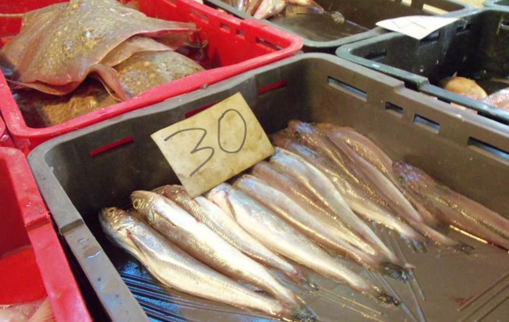 Morska biologinja ne preporuča jesti ribu, a    razlozi za to    su   zabrinjavajući