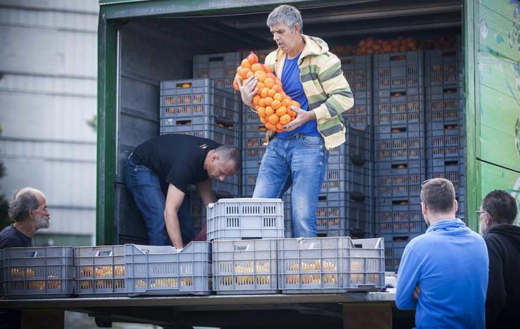 Evo gdje će zbog ruskog embarga završiti sve neretvanske mandarine!