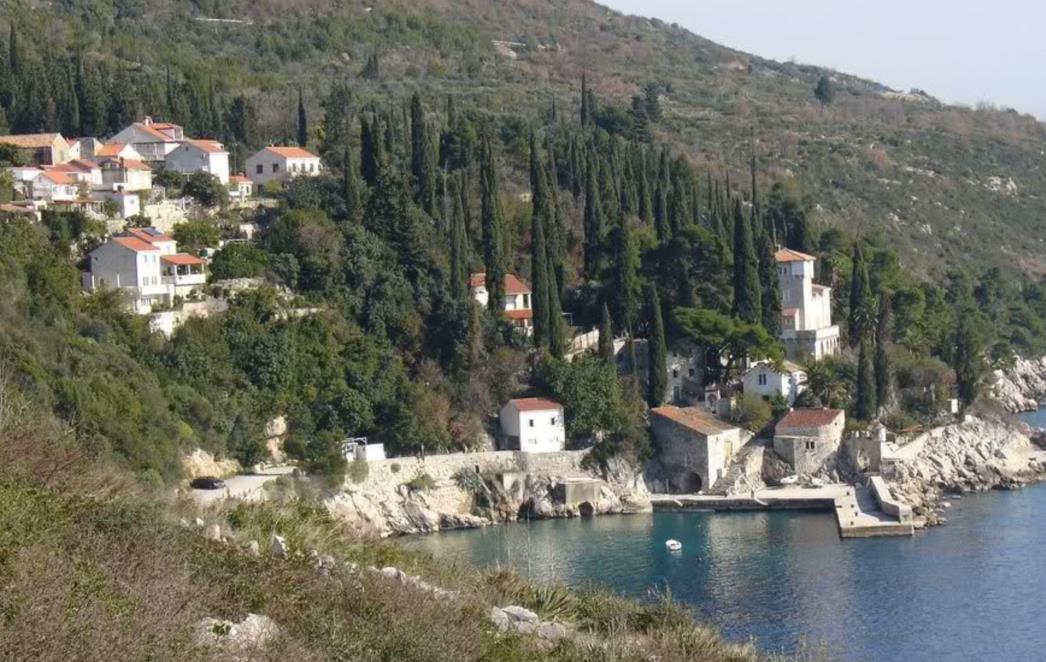 Lokaliziran požar na Vili Aurora u Trstenom, Arboretum nije u opasnosti