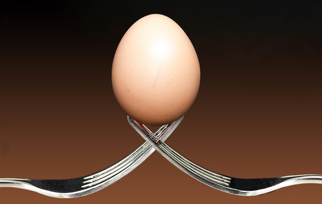 BRZO  ĆE  VAS  ZASITITI  Nisu  jaja  jedina,  evo  namirnica  koje su  bogate  proteinima
