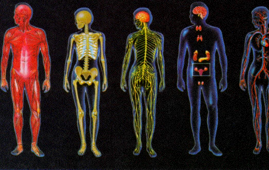 Tri rutine s kojima ćete si već danas uništiti metabolizam