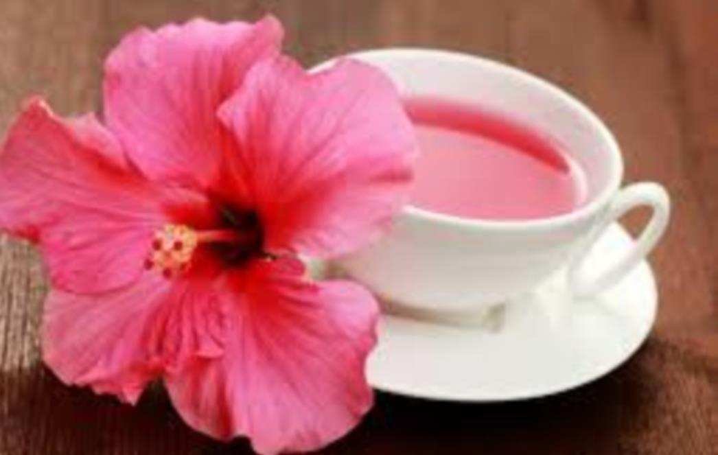 Čaj od hibiskusa - provjereno snižava krvni tlak!