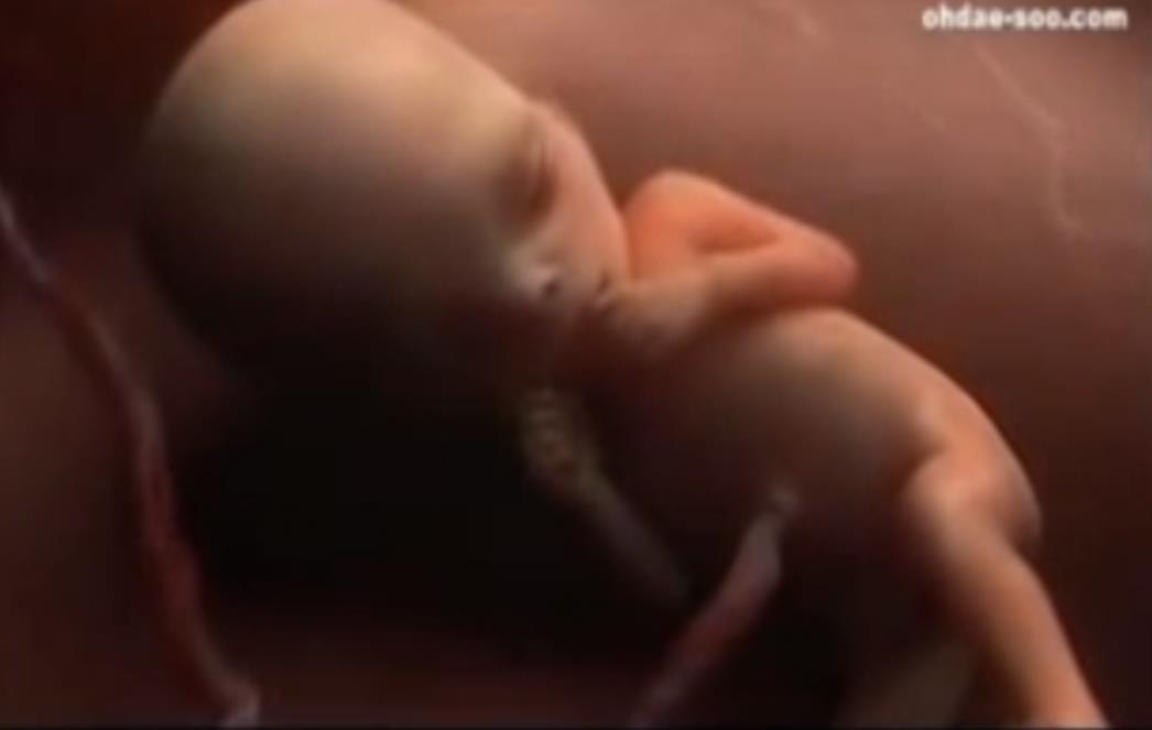(VIDEO) Čudo života: Pogledajte kako nevjerojatno izgleda razvoj bebe u majčinom trbuhu 