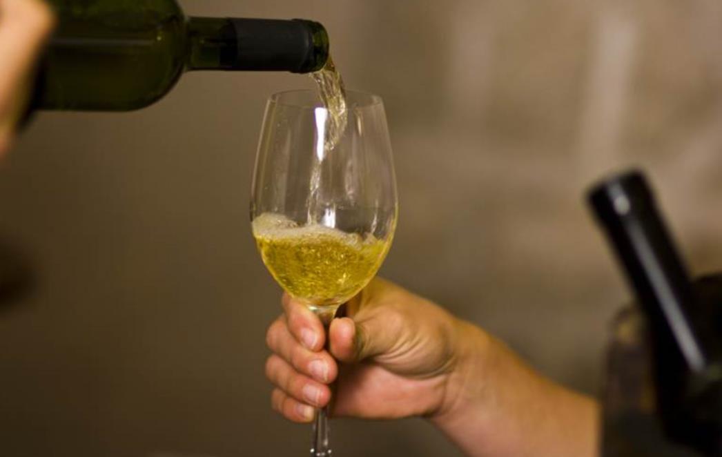 U Konavlima osnovan odjel za vinogradarstvo, vinarstvo i vinski turizam