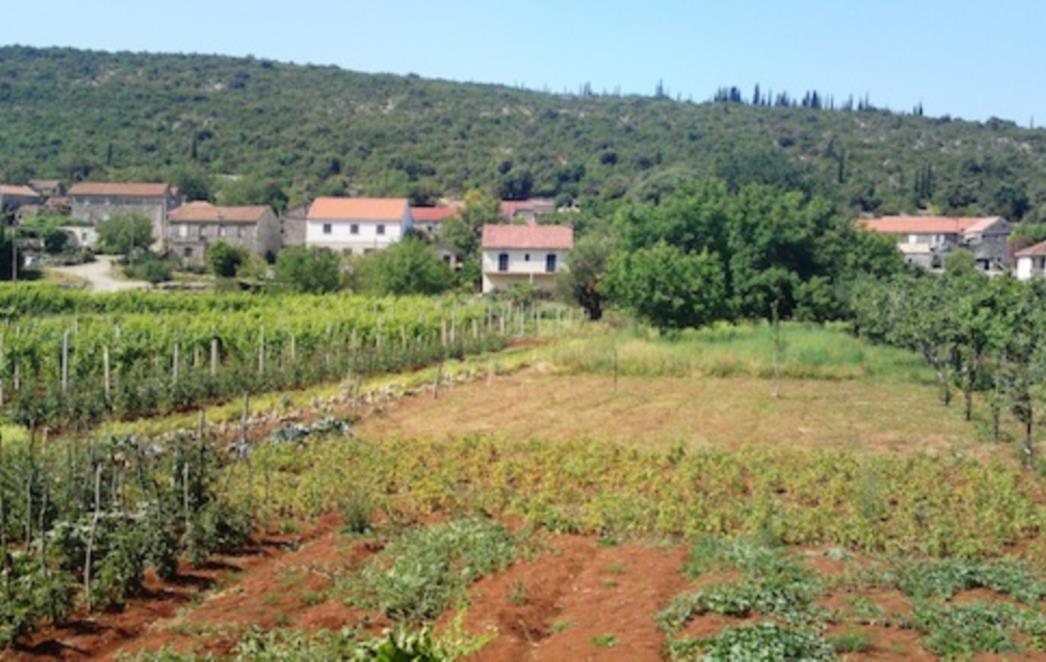 U Konavlima uhvaćen Albanac koji je nezakonito prešao granicu