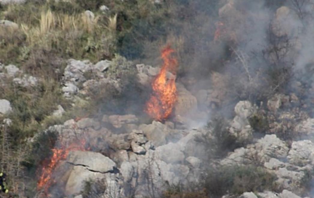 GORJELO U MOKOŠICI Zapalilo se nisko raslinje