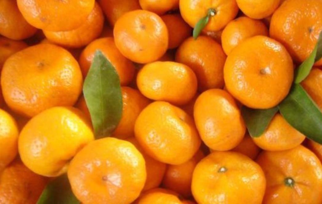 Tri recepta s mandarinom za mršavljenje, pomlađivanje i opuštanje od stresa
