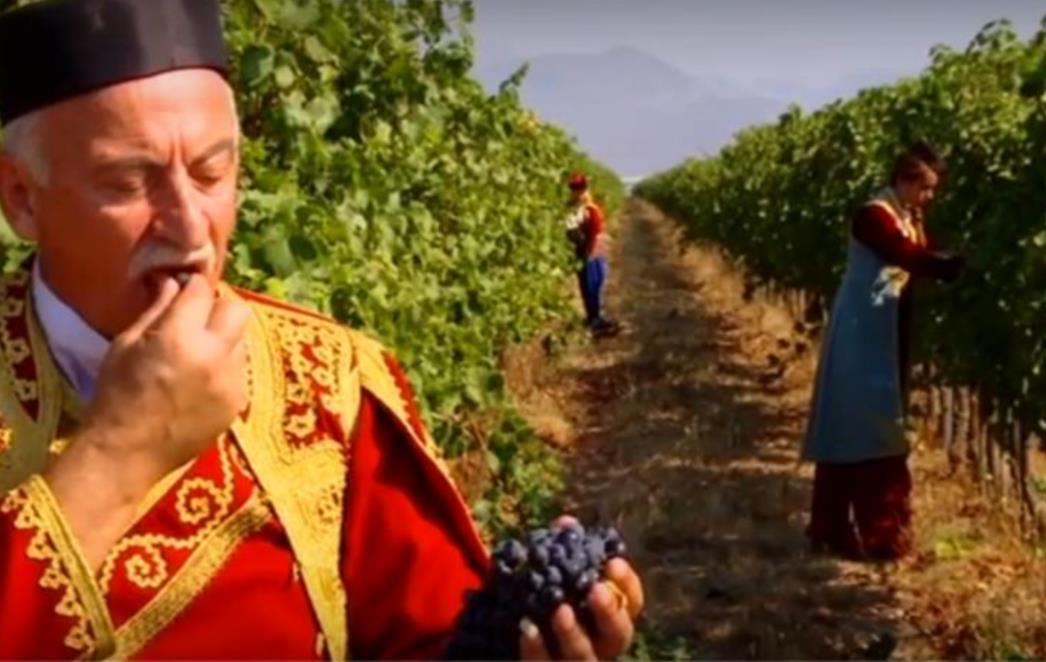  RAZMJENA ISKUSTVA: Najveći   proizvođači vina iz Virovitičko-podravske županije posjetili najveću europsku plantažu u Crnoj Gori