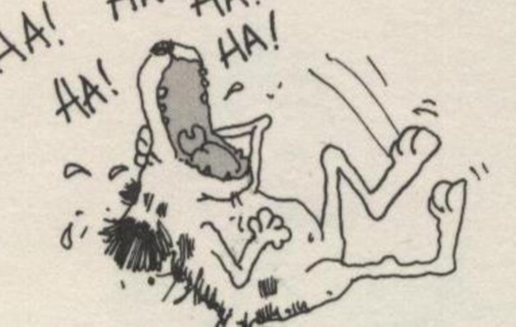 VIC DANA: Mujo u državnoj službi