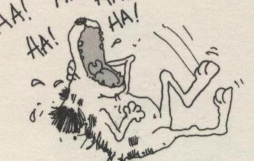 VIC DANA: Priča Mujo Hasi