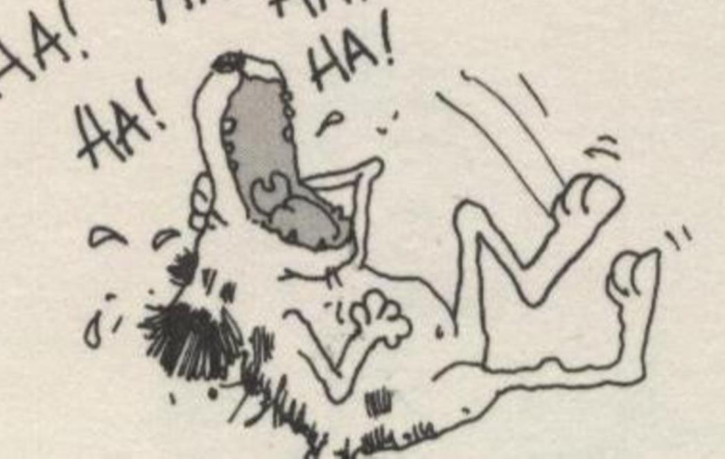 VIC DANA: Pričaju Slovenac, Crnogorac i Bosanac
