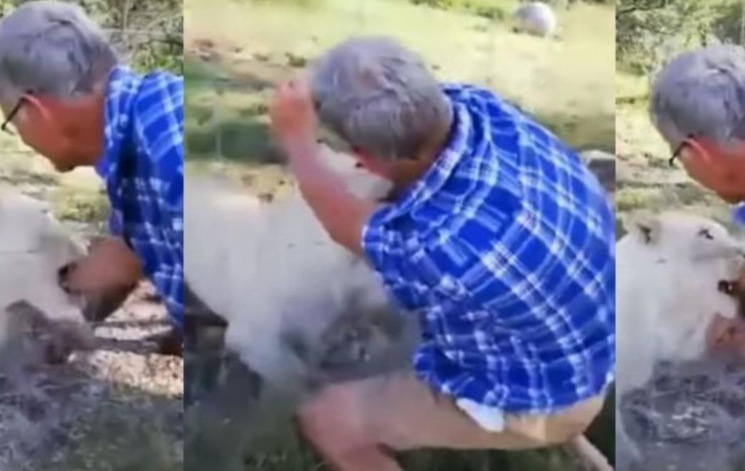 MUŠKARAC MAZIO LAVA ‘Ako ti mene ugrizeš i ja ću tebe’; zvijer ga brutalno napala (VIDEO)