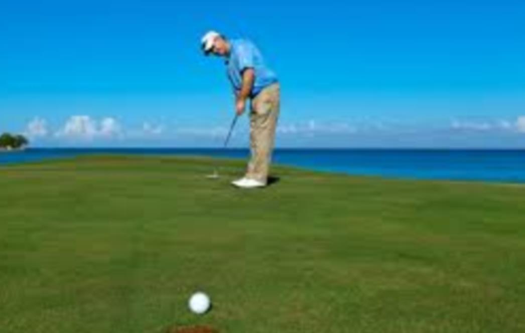 VIC DANA: Bosanac i golf