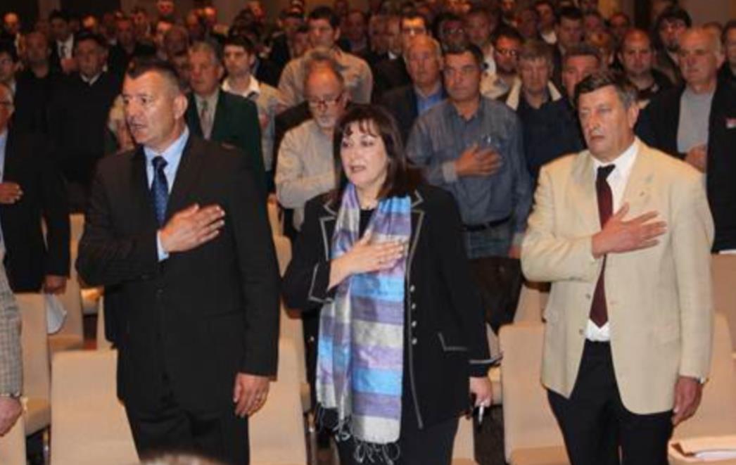I dubrovački HDZ podržao kandidaturu Tomislava Karamarka