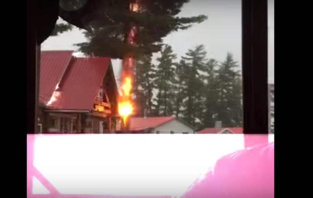 Ako  su vam ikad rekli da se od nevremena sakrijete pod stablo, pogledajte ovo! (VIDEO)