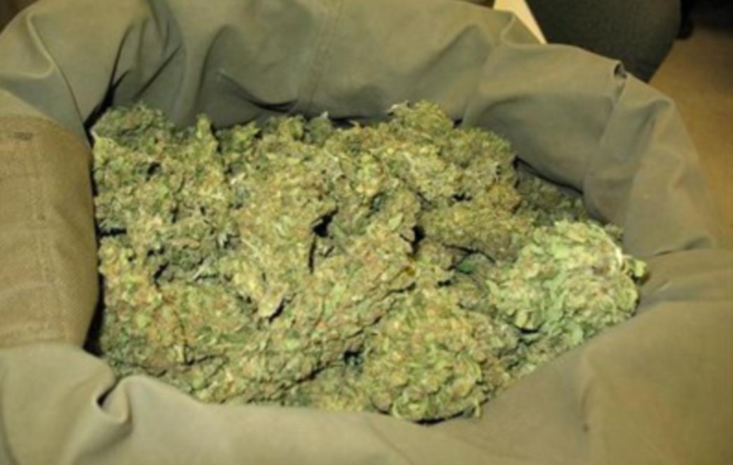 U Češkoj se kanabis može koristiti za liječenje