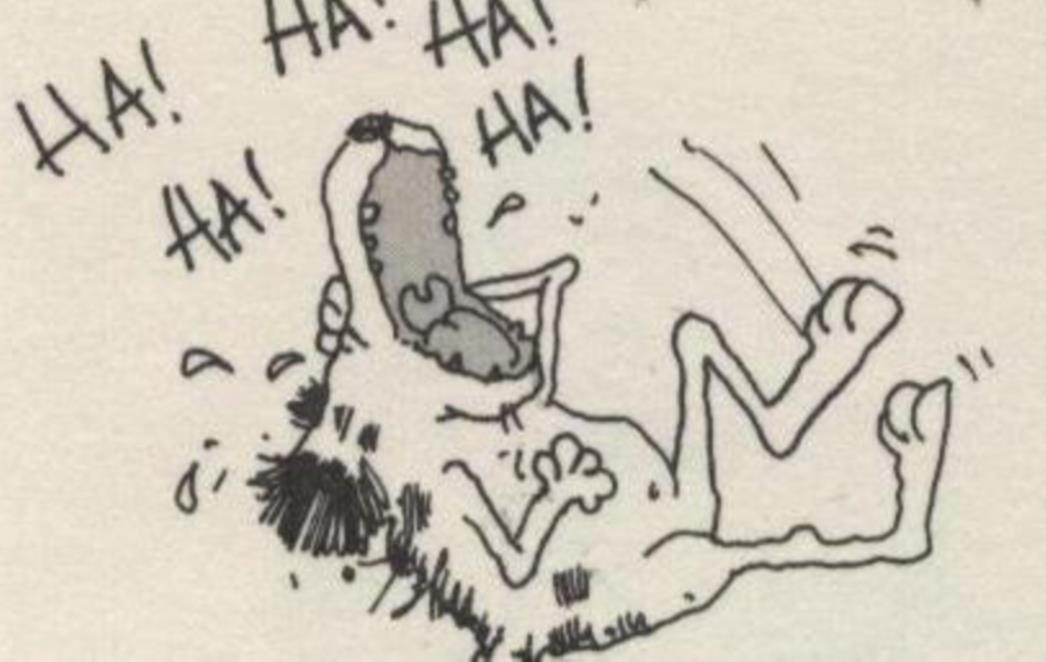 VIC DANA: Kako Mujo 'bari'