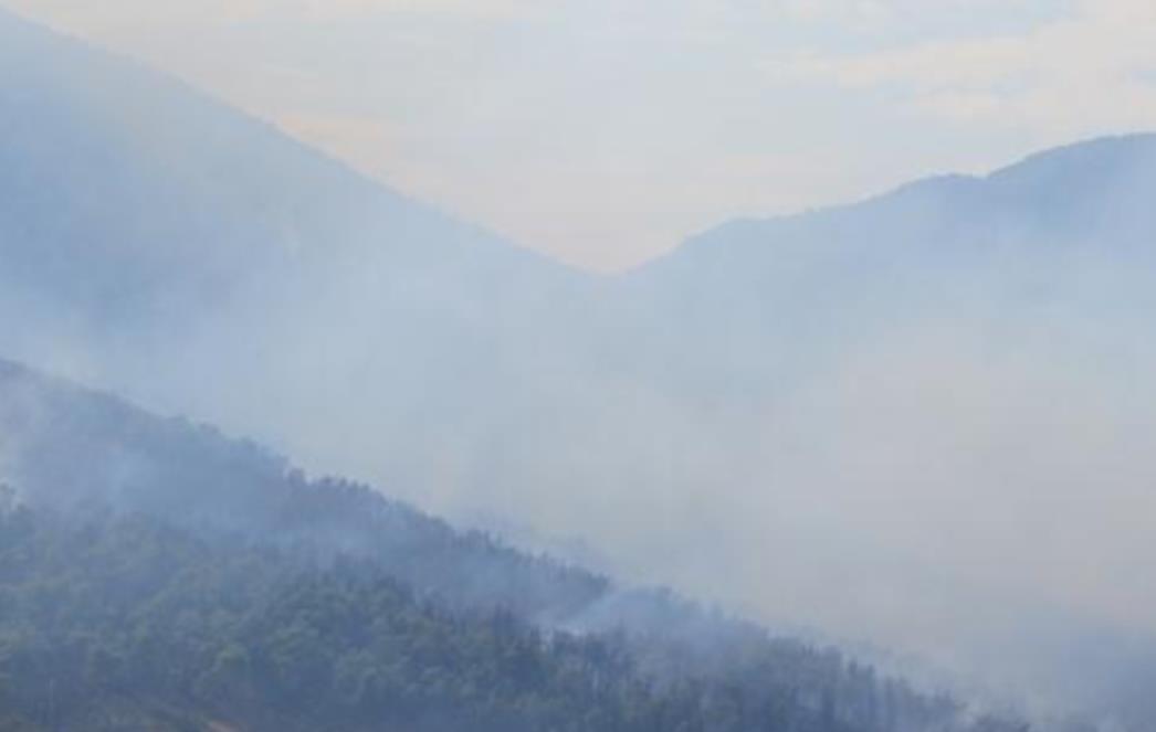 Požar u Dubrovačkom primorju