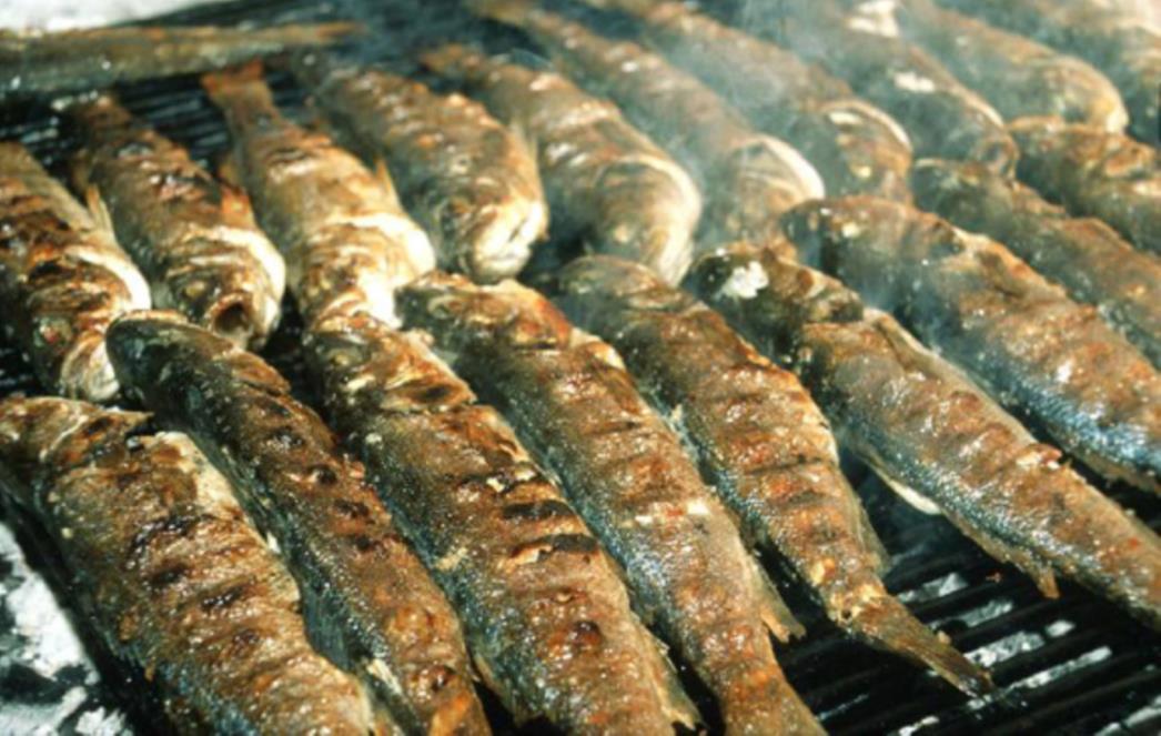 Mediteranska prehrana utječe na pamćenje i razmišljanje