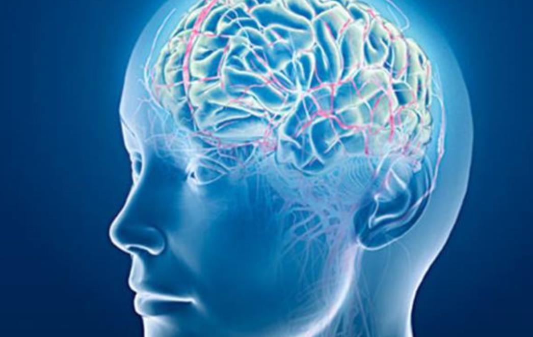Zabavan test inteligencije: Ako točno riješite 15 od 17 pitanja, svaka vam čast! 
