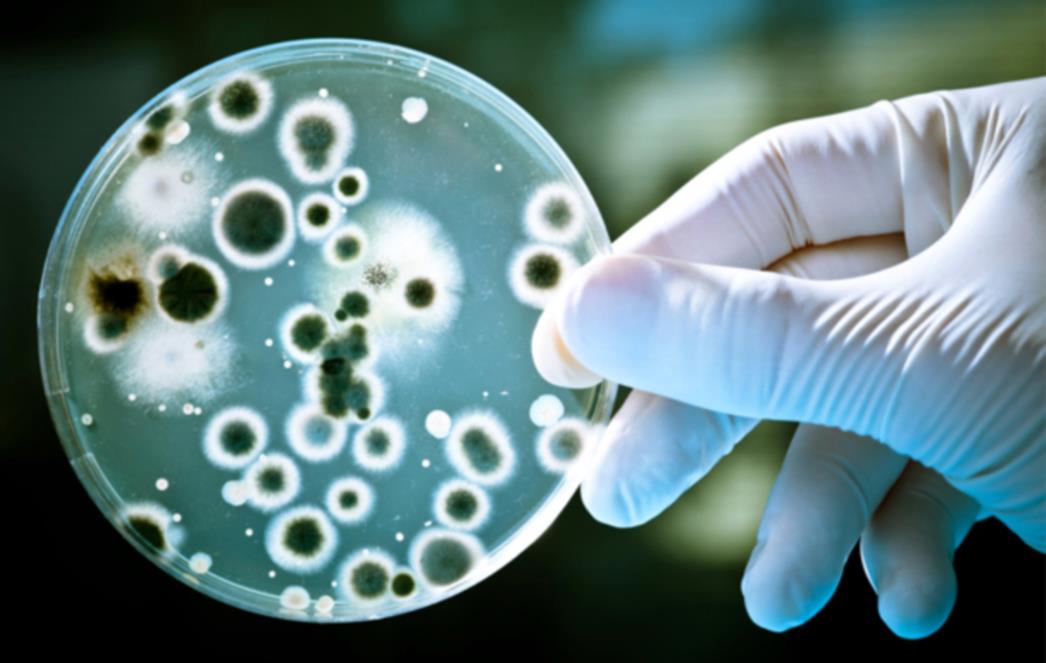 Revolucionarno: Znanstvenici otkrili antibiotik koji ubija i superbakterije