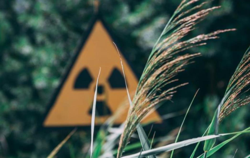 ZRAČENJE OTEŽAVA GAŠENJE Gori šuma nedaleko od bivše nuklearne elektrane u Černobilu