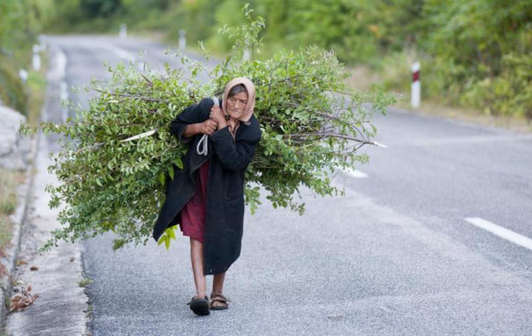 Prizor snimljen na Pelješcu, u današnje vrijeme vrlo je rijedak (FOTOGALERIJA)