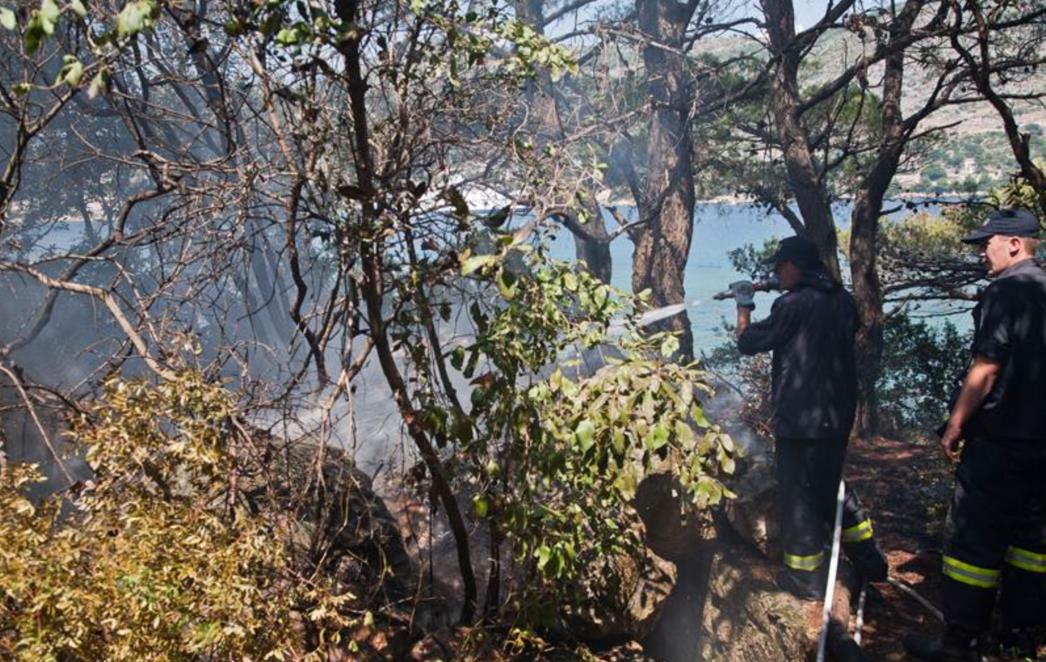 Uhićen Slavonac zbog sumnje u podmetanje požara u Lapadu (FOTO)