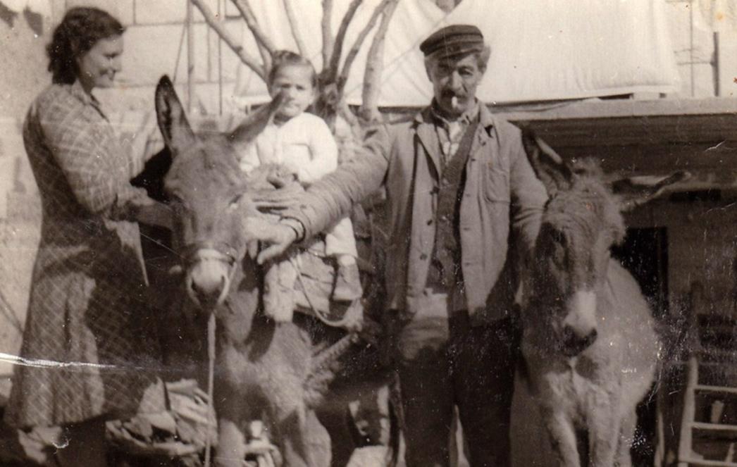 DALMATINSKO EVANĐELJE: Tovar i srdela