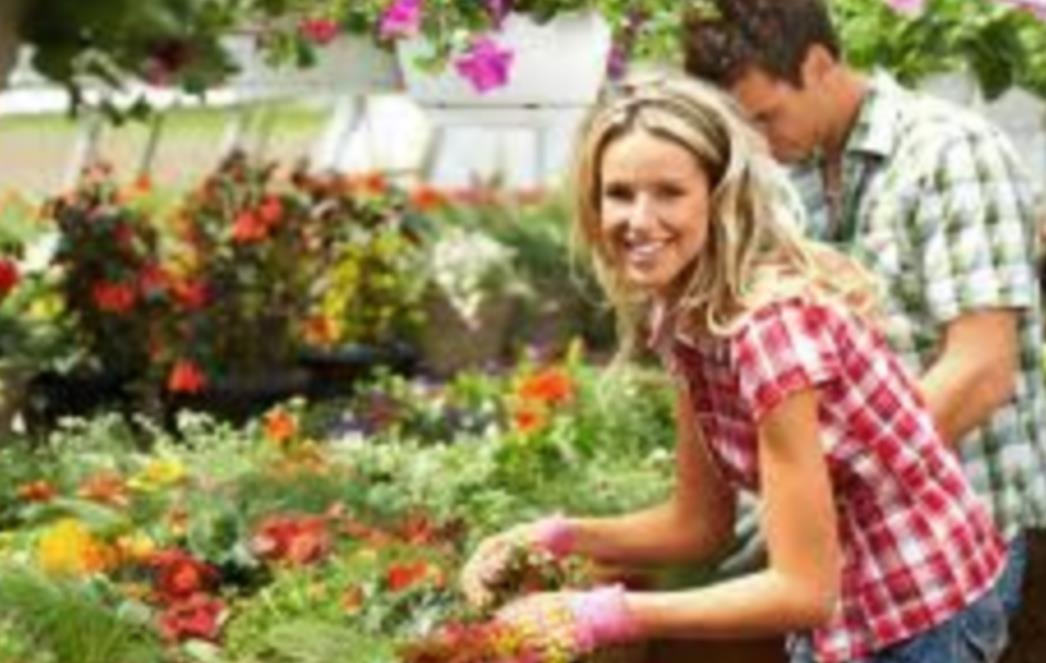 Proljetna aktivnost koja sužava struk