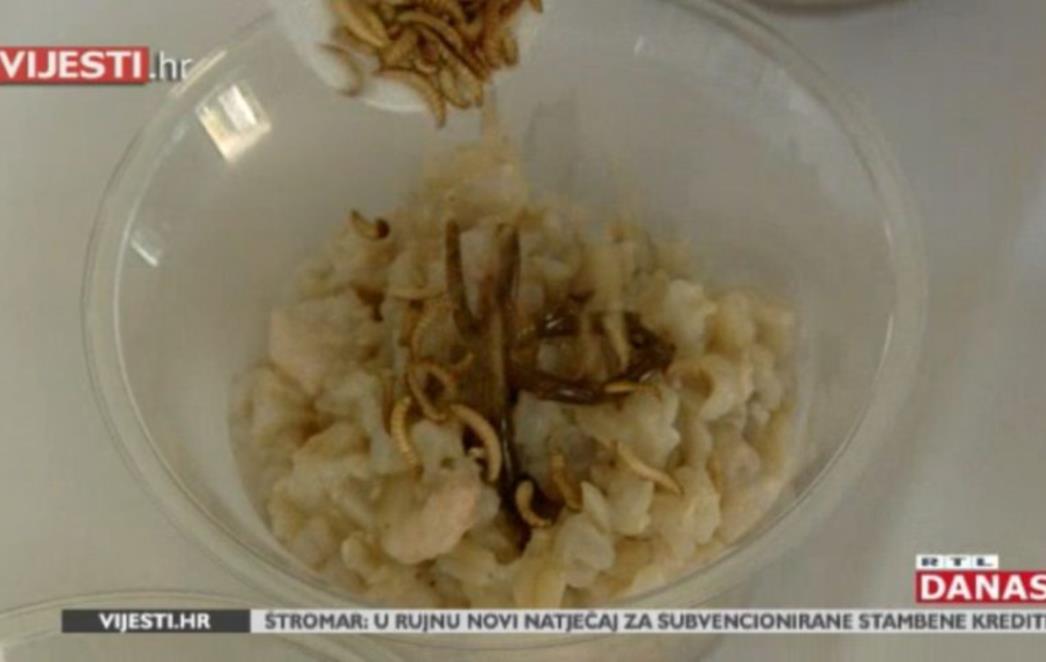 HRANA BUDUĆNOSTI Salata s mravima i rižoto s crvima