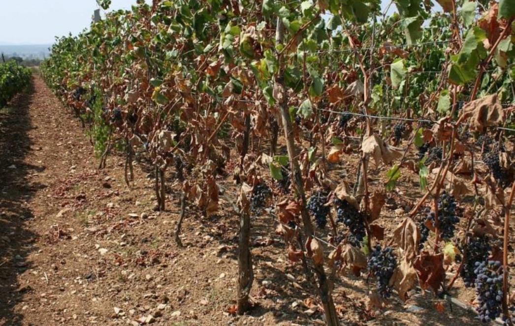 IZ KRAJNOSTI U KRAJNOST: Klimatski ekstremi sve češći, evo koji su u povijesti zabilježeni kao najgori!