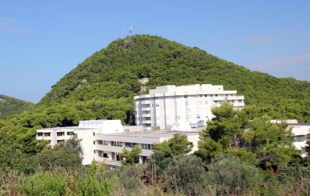 Ultrazvučni pregledi dojki žena u Općoj bolnici Dubrovnik