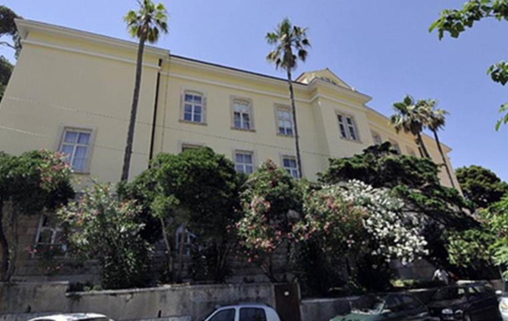 Bioinformatika za biologe u IUC-u Dubrovnik 
