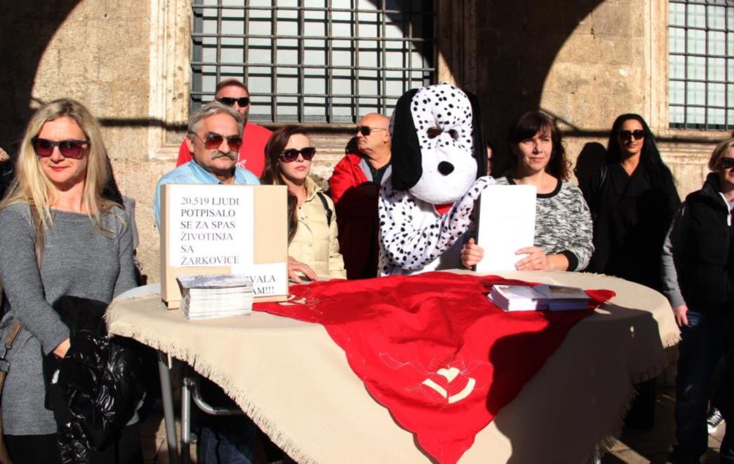 VLAHUŠIĆ ZBOG ŽIVOTINJA POZVAO INTERVENTNU POLICIJU! Sambrailo: Dubrovčani dođite na Žarkovicu sutra u 8 sati, ne bojte se!