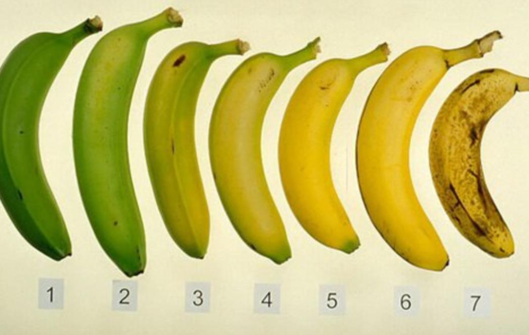 Od ovih sedam banana znate li koja je najbolja za vaš organizam?