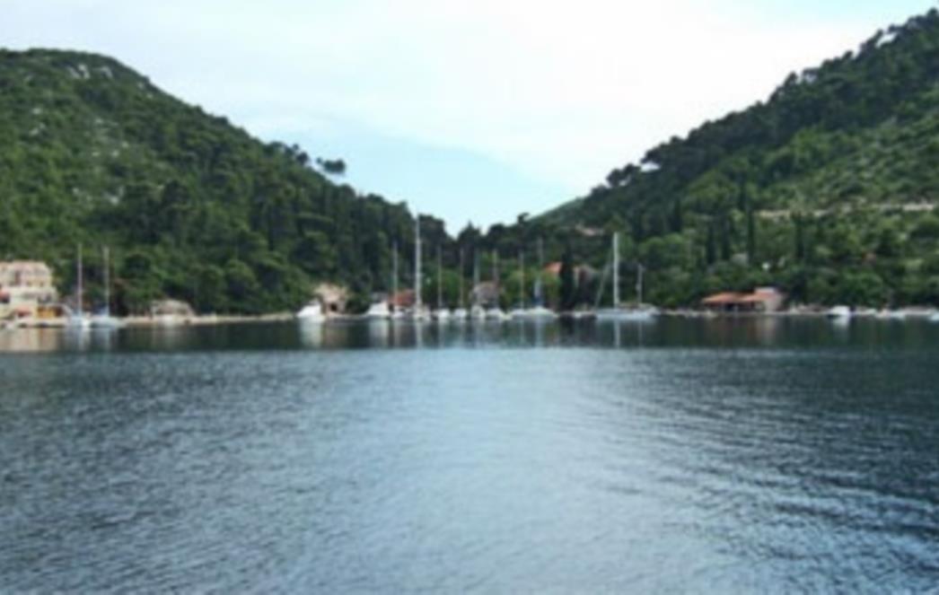 Obavijest iz Stona: Načini prikupljanja pomoći poplavljenim područjima