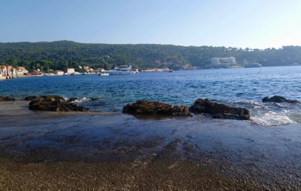 SRAMOTAN ČIN NA LOPUDSKOJ PLAŽI Netko je izvršio nuždu i iza sebe ostavio izmet, urin se također osjeti duž cijelog područja (FOTO)