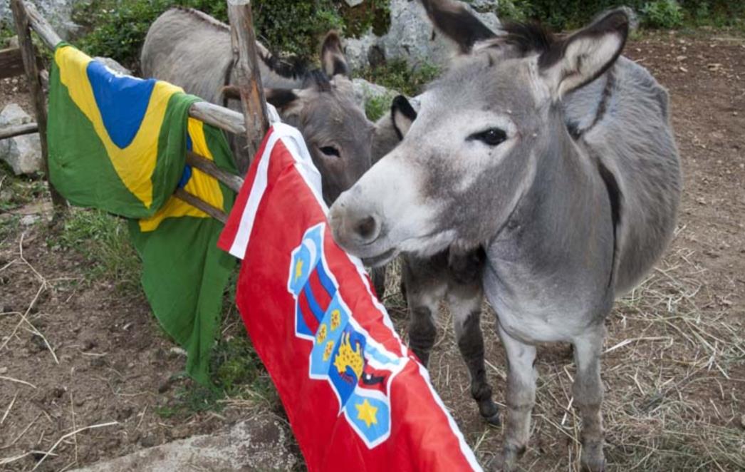 'Pako' iz Neuma rekao svoje - Hrvatska će izvući remi!