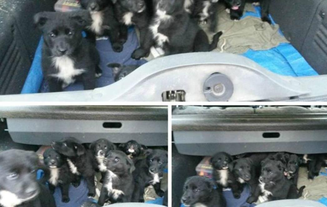 SUROVA HRVATSKA: Fotografije koje ne trebaju komentar 