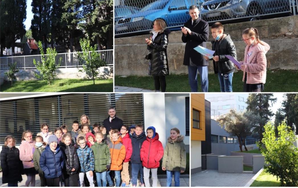 Akciju Zasadi stablo, ne budi panj! podržao i dubrovački gradonačelnik