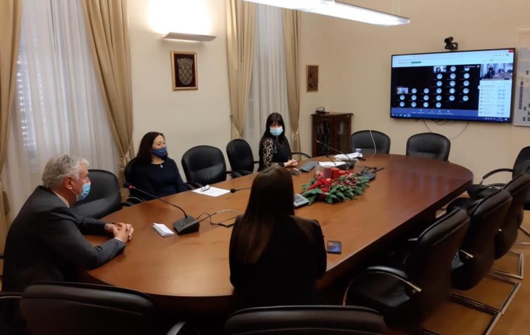 Održan webinar na temu ”Prevencija nasilja u obitelji i nad djecom u doba pandemije COVID 19”