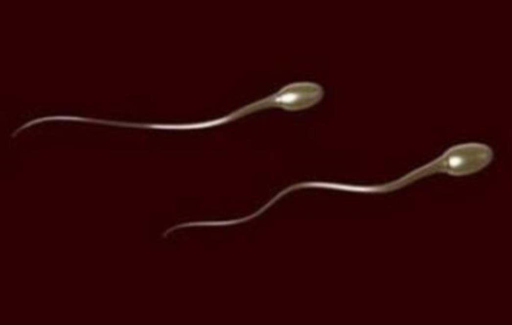Predstavljamo glavne mitove o muškoj neplodnosti