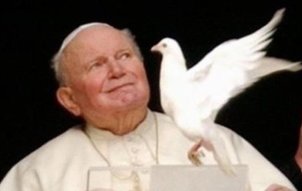 Grad Dubrovnik zaboravio Papu 