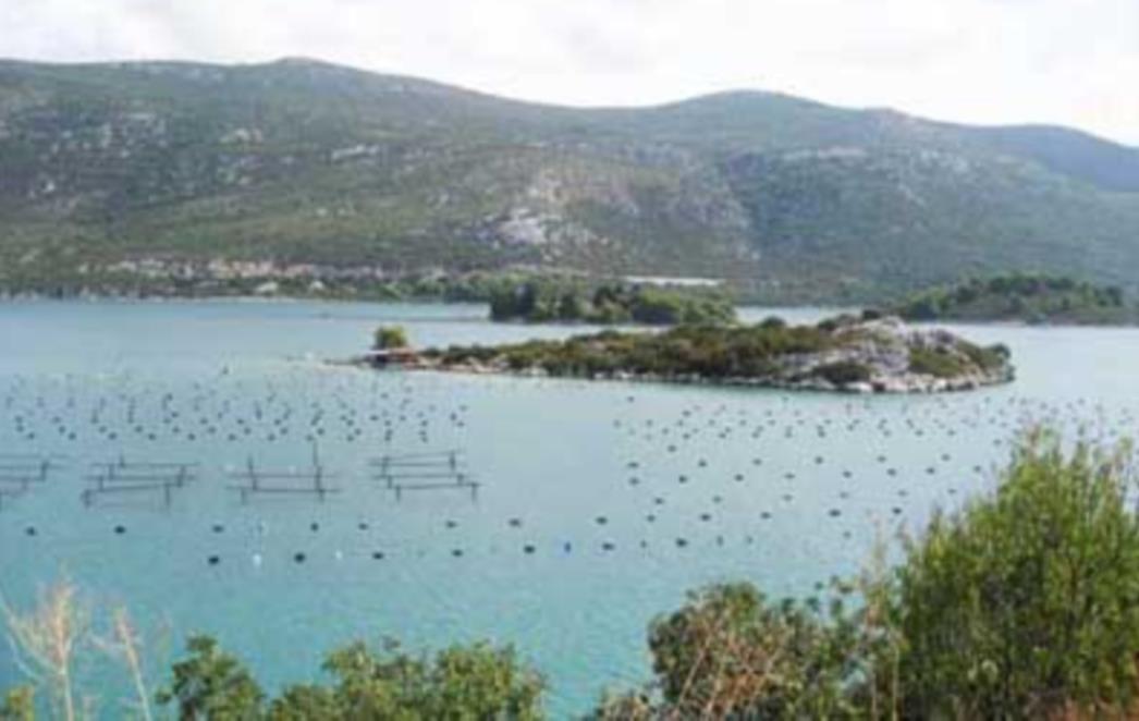 Ston: Uhvaćen s 14 kilograma prstaca