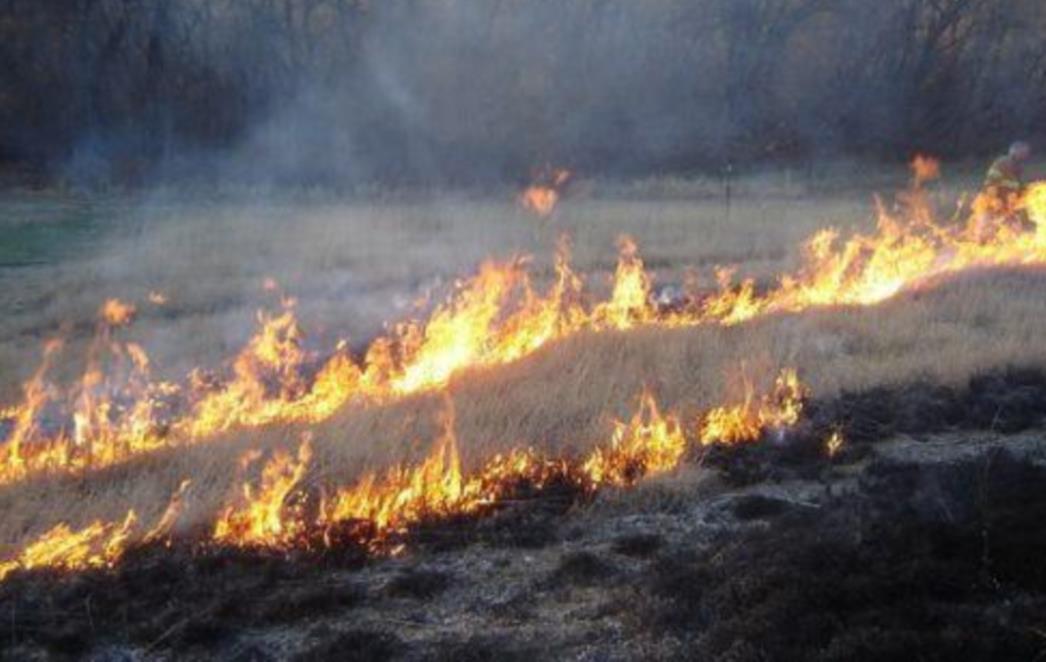 POŽAR LOKALIZIRAN: Gorjelo jutros na Obodu 