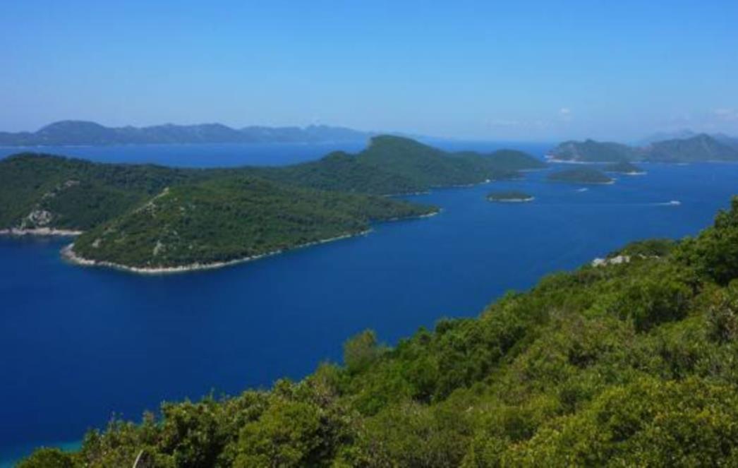 POZADINA NESTANKA KOTROMANOVIĆA: Milanovićeva Vlada Rusima otvorila vojne objekte diljem Jadrana pa čak i one u Dubrovniku?