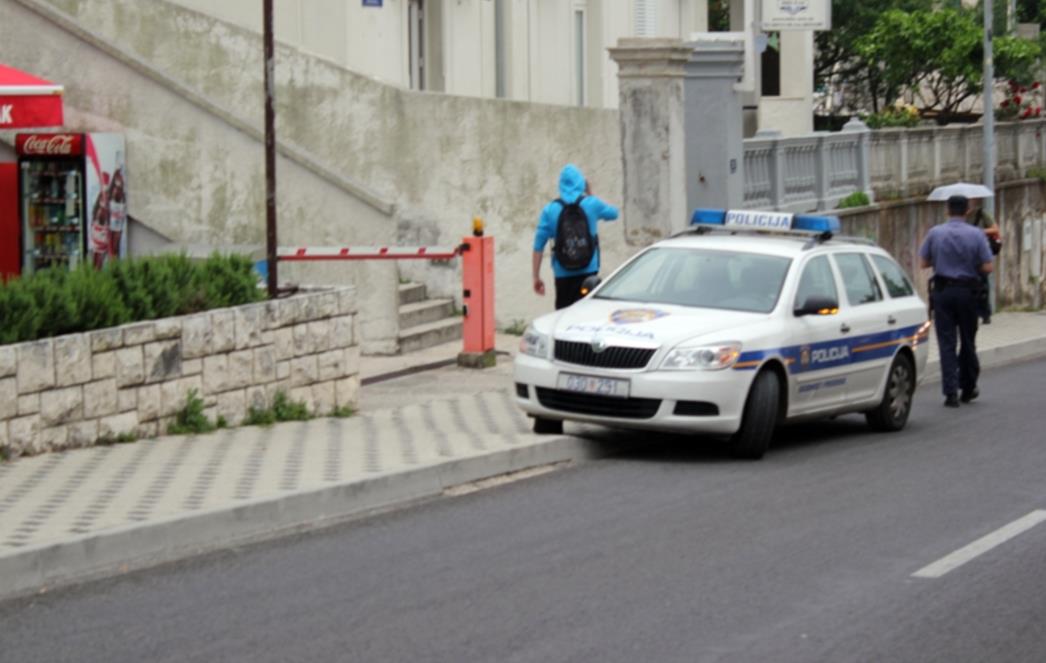 DUBROVNIK: Ispred zgrade Suda automobilom usmrtio psa 
