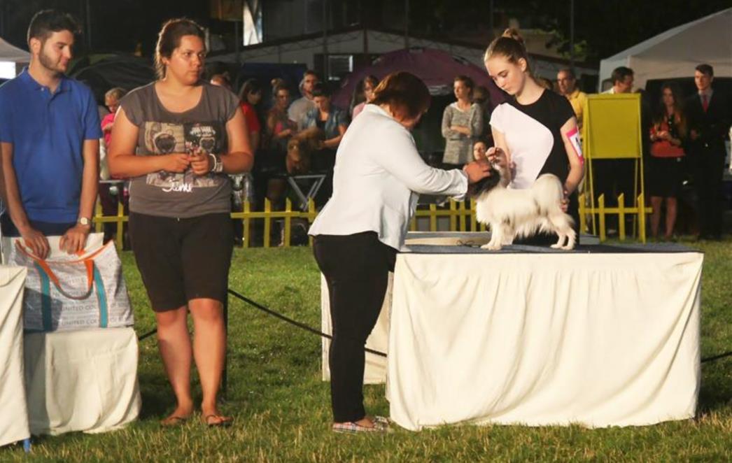 CACIB U SPLITU:  First Lady Of Caceris oduševila žiri (FOTO)