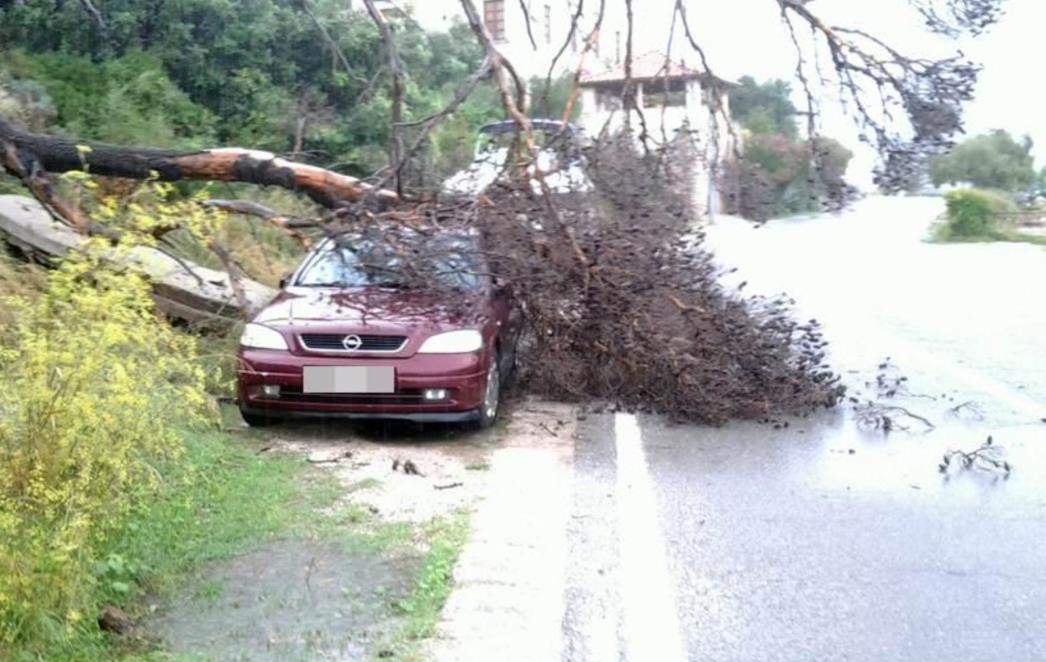 POSLJEDICA KIŠE U DUBROVNIKU: U Mokošici stablo poklopilo automobil (FOTO)